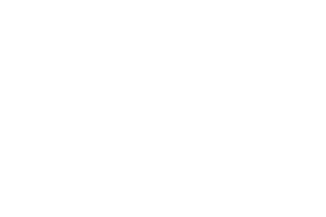 Silnicegroup